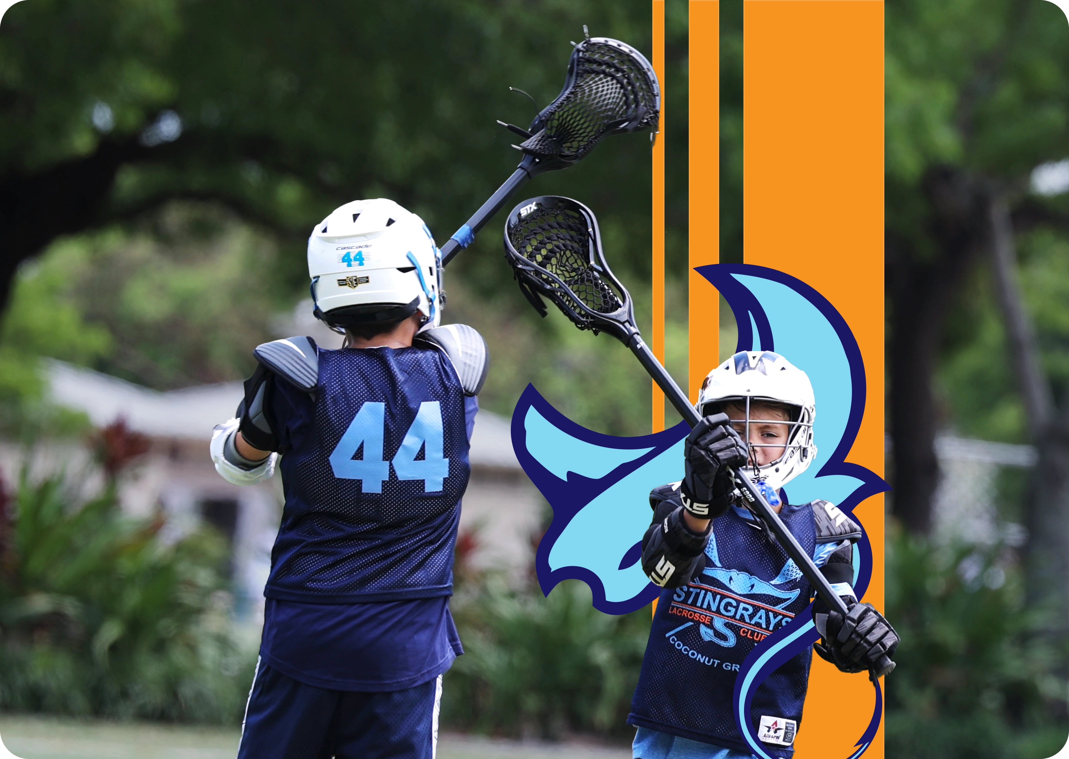 Stingrays players celebrating