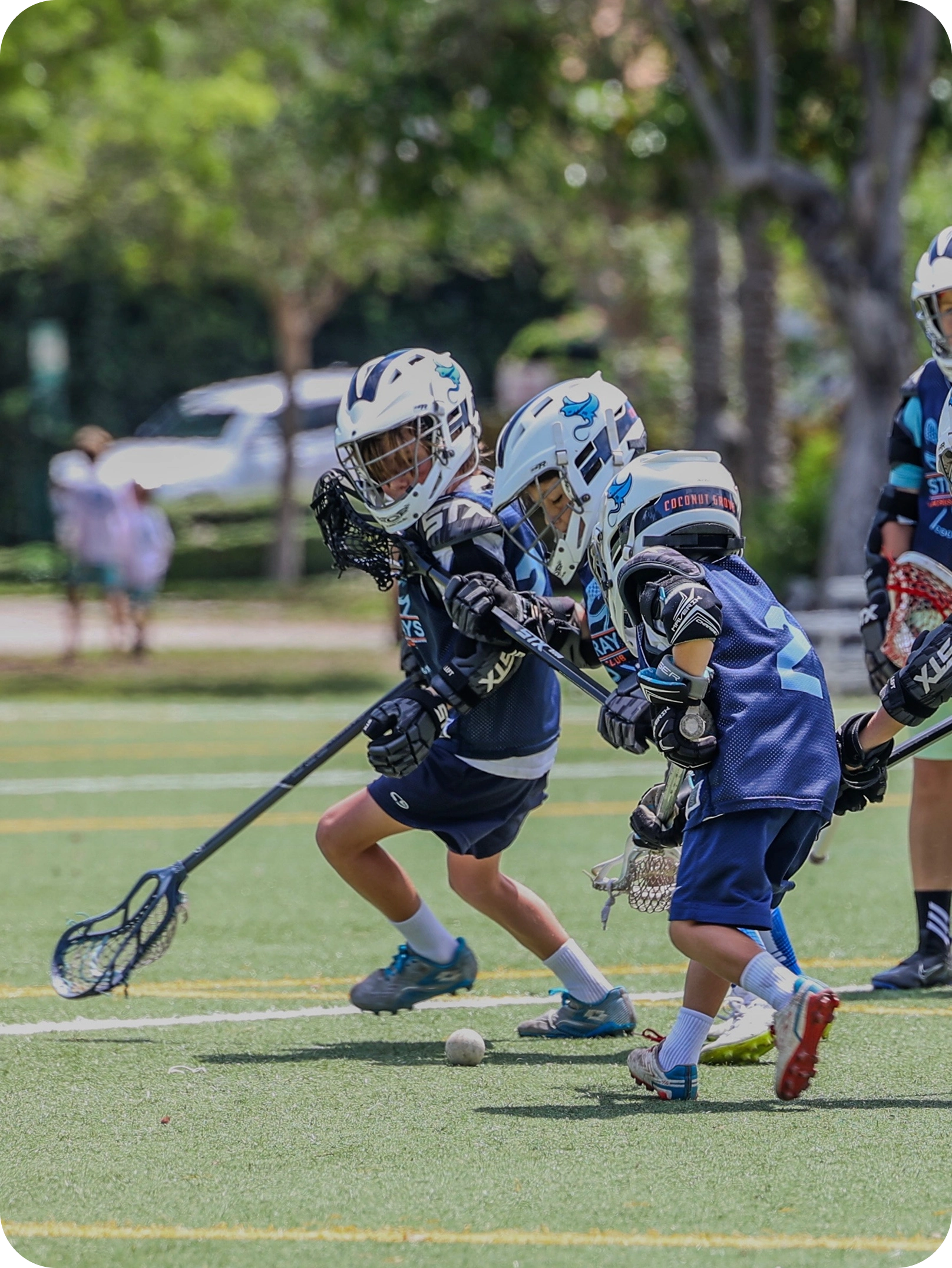 Young lacrosse player